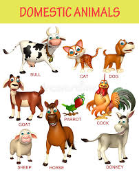 Pet Animal Chart Stock Illustration Illustration Of