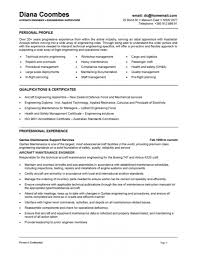 CV Formats and Examples Business Development Advisor Resume samples