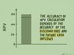 4 ways to calculate npv wikihow