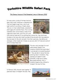 234 lion english esl worksheets pdf doc