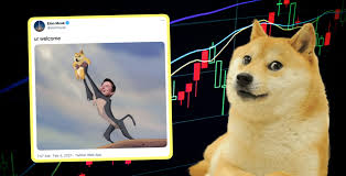 On the following widget, there is a live price of dogecoin with other useful market data including dogecoin's market. Dogecoin What Is It How Do I Buy It And Can Dogecoin Make Me Rich