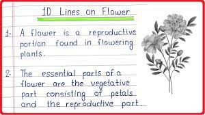 10 lines on flower in english flower