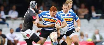 wp rugby bonus point delight for dhl