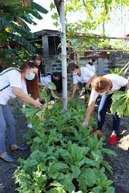 Food Grown Close To Home Urban Farming