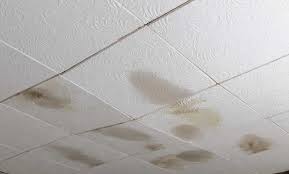 replace damaged ceiling tiles