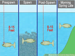 6 Ways To Choose Lures For Bass Fishing Wikihow