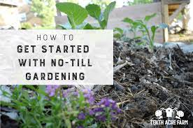 No Till Gardening