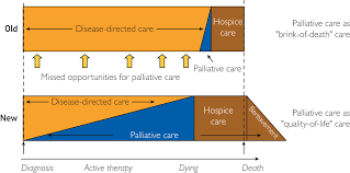 Hospice and palliative care are two different types of care that are often confused. Understanding Palliative Care And Hospice Mayo Clinic Proceedings