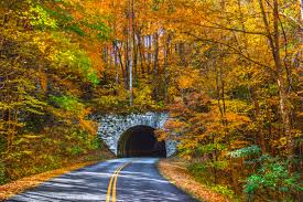 18 Best Fall Foliage Trips for Fall Colors Near You - Parade:  Entertainment, Recipes, Health, Life, Holidays
