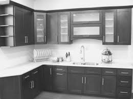 frosted glass kitchen cabinet doors