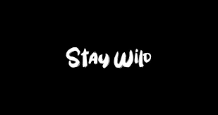 stay wild images browse 1 017 stock