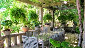 Porch And Patio With These Ferns