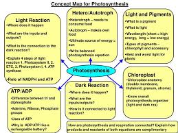 ppt concept map for photosynthesis