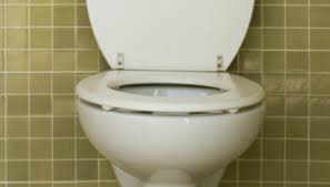 Remove A Toilet Seat With Stuck Nuts