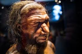 How smart were Neanderthals? | Live Science