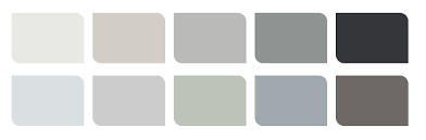 dulux colour of the year 2020