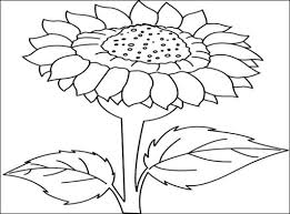 Kami telah menyajikan contoh gambar sketsa bunga, gambar bunga, serta contoh lukisan . Gambar Sketsa Bunga Indah Sakura Mawar Melatu Terbaru Terlengkap