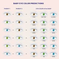 When Do Baby Eye Color Change 5 Interesting Facts