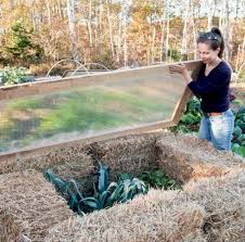 Cold Frame 101 With Niki Jabbour A
