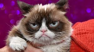 the internet pays tribute to grumpy cat