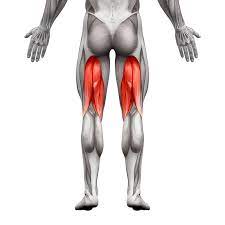what causes hamstring tightness
