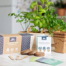 12 Best Indoor Herb Garden Kits 2022