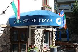 Blue Moose Pizza 