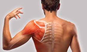 causes of pain under your shoulder blade