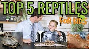 top 5 reptiles for kids you