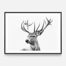 Black And White Stag Wall Art Highland