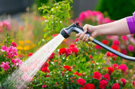 Increase Water Pressure In Garden Hose