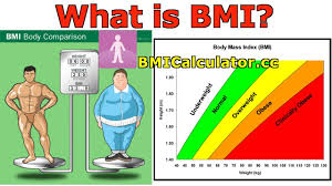 Bmi Body Mass Index Introduction History And Bmi Calculator