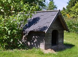 living doghouse roof ideas how to