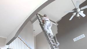 renovation vlog painting high walls