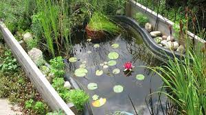 small pond in a raised garden bed