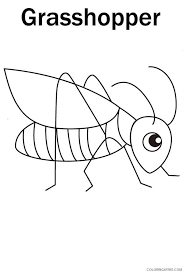 Free grasshopper coloring pages are a fun way for kids of all ages to develop creativity, focus, motor skills and color recognition. Grasshopper Coloring Sheets Animal Coloring Pages Printable 2021 2182 Coloring4free Coloring4free Com