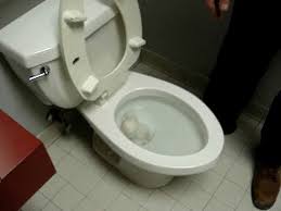 Clogged Toilet Trap