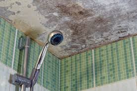 how i prevent mold on bathroom ceilings