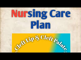nursing care plan ncp on cleft lip and