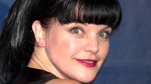 pauley perrette pitched to ncis s writers
