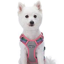 The 50 Best No Pull Dog Harnesses Of 2019 Pet Life Today