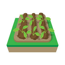 Beds With Plants Cartoon Icon Isolated