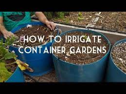 Using Drip Irrigation To Water Your