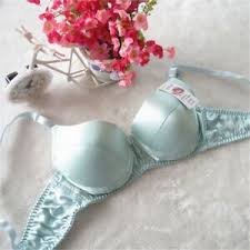 Details About 34b 36b 38b 40b 100 Silk Bra Wire Free Padded Soft Everyday Bra Underwear