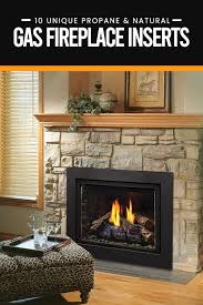 Gas Fireplace Insert