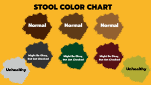 your healthy stool chart what color is