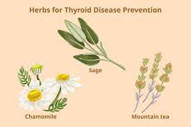 herbs for thyroid disease do they work