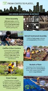 Green Thumb In Urban Gardening