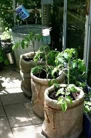 5 gallon bucket planter ideas. 15 Best 5 Gallon Bucket Diy Ideas Bucket Bucket Ideas Gallon