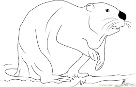 Use these images to quickly print coloring pages. Black Beaver Coloring Page For Kids Free Beaver Printable Coloring Pages Online For Kids Coloringpages101 Com Coloring Pages For Kids